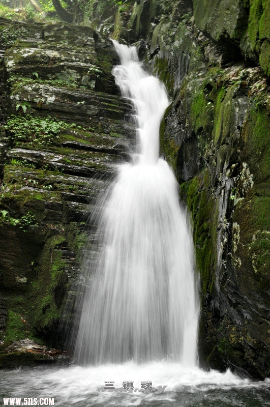 DSC_9782.jpg