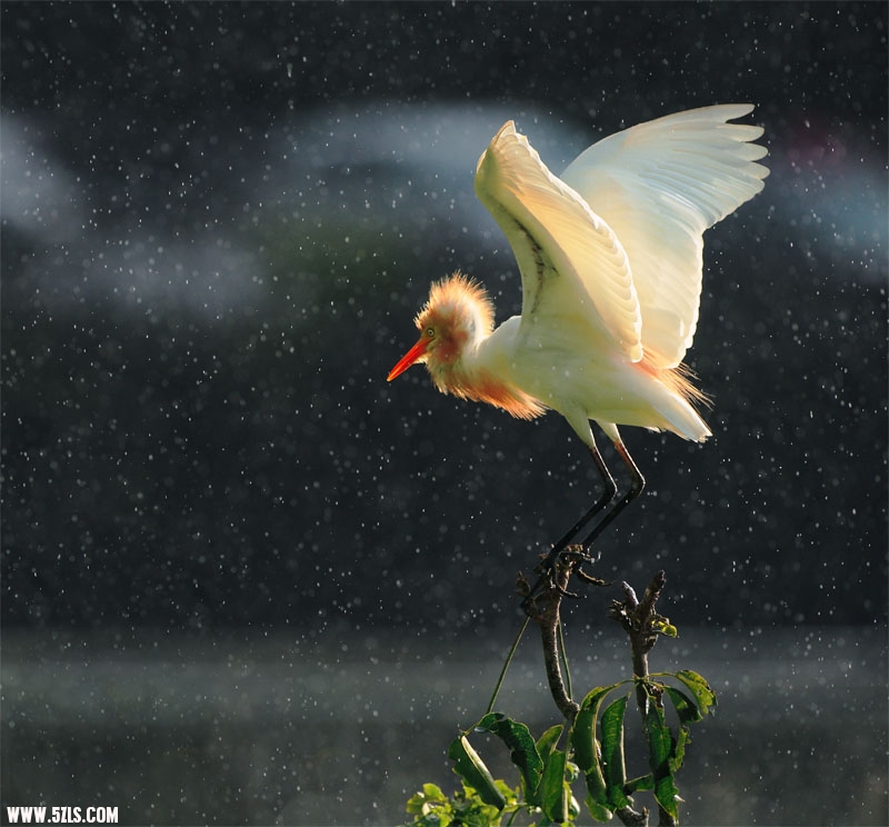 20100730000244227.jpg