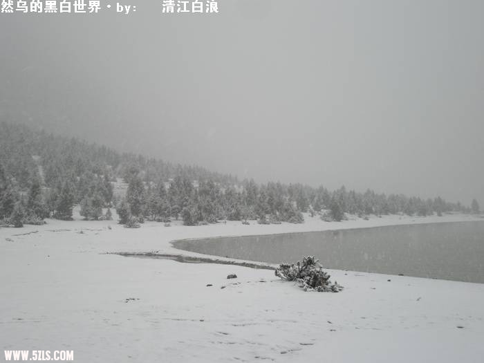 PA260692.JPG