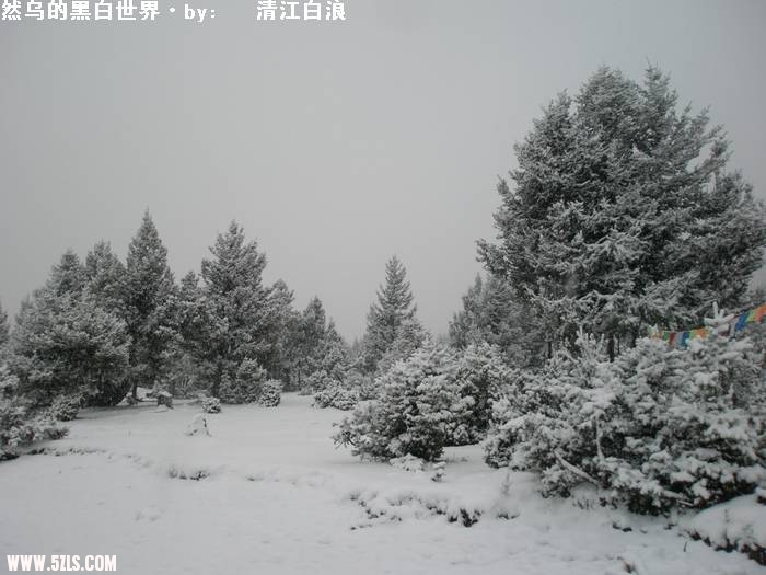 PA260712.JPG