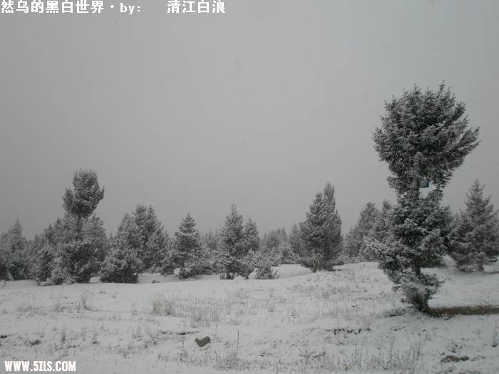 PA260686.JPG