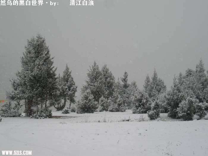 PA260688.JPG