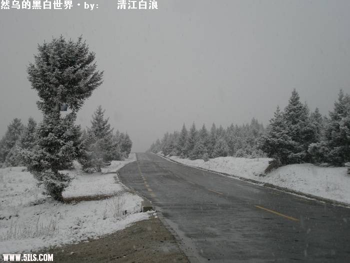PA260684.JPG