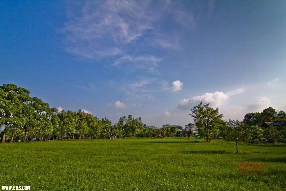 20110619-IMG_1206.jpg