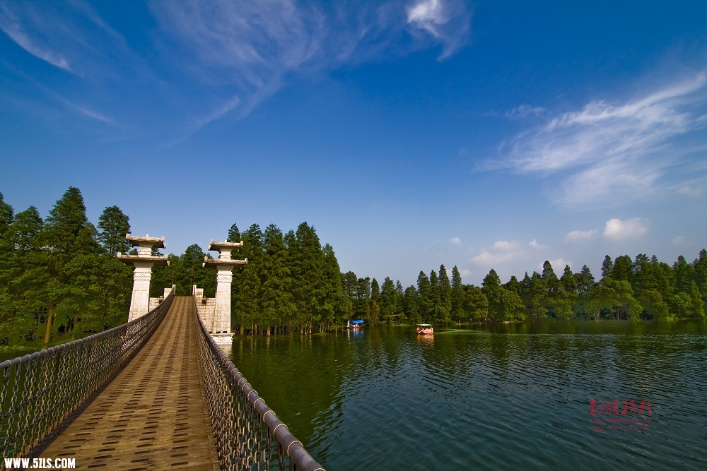20110619-IMG_1222.jpg