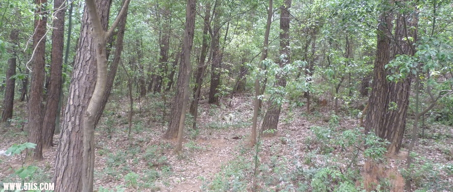 P1000670.jpg