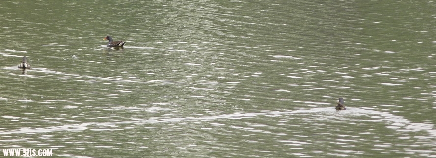 P1000671.jpg