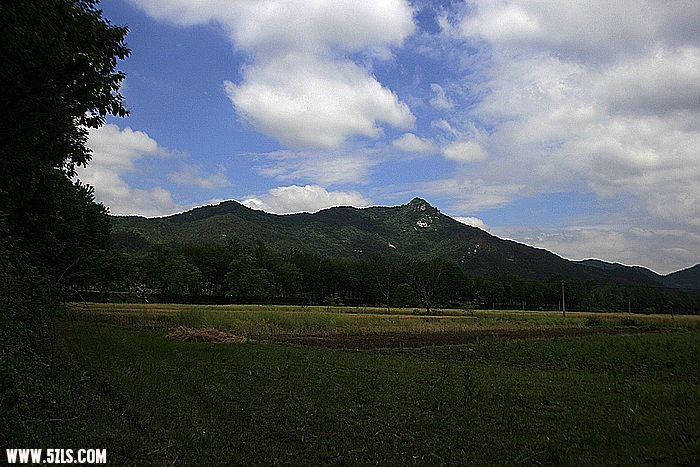 _MG_8730a.jpg