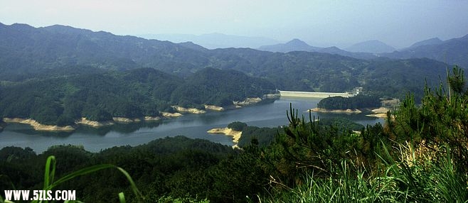_MG_8815a.jpg