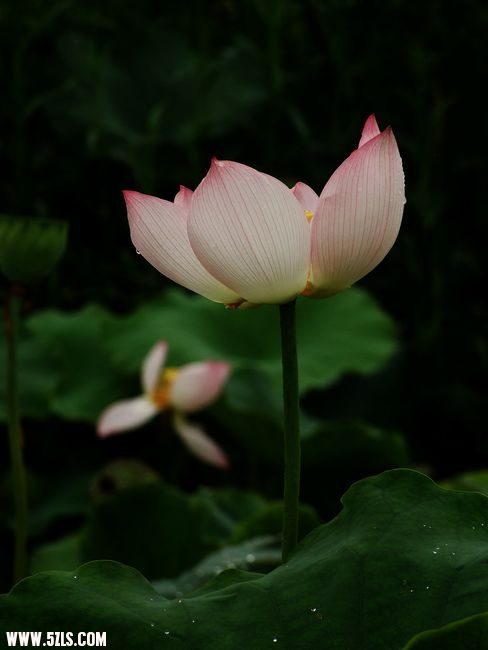 Ƭ 013.jpg