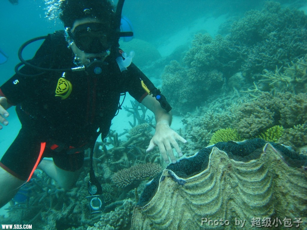 Diving2