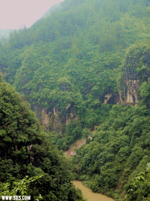 P6190144-1.jpg