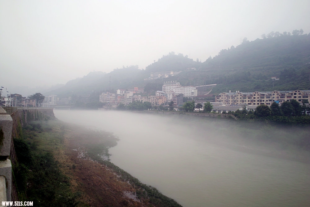 SDIM0473.jpg