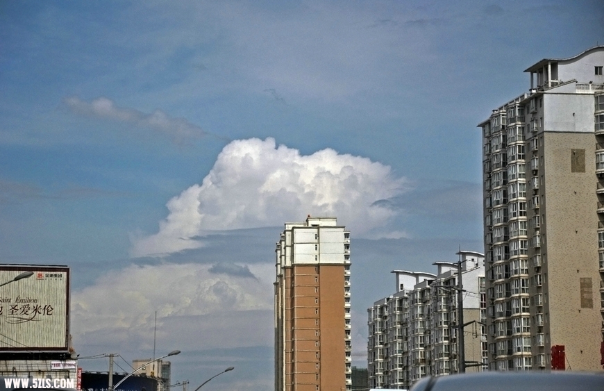 DSC_8393.jpg