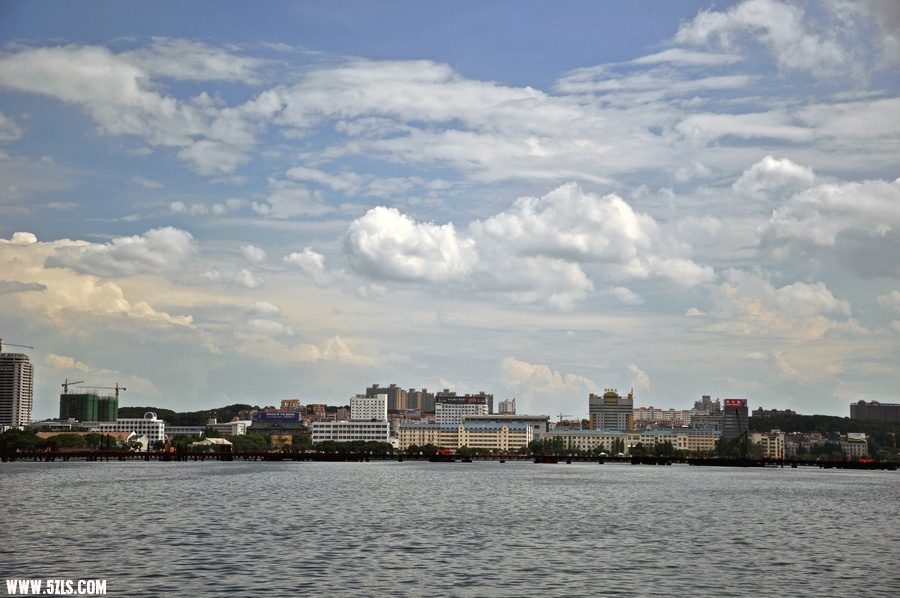 DSC_8398.jpg