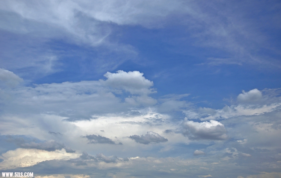 DSC_8419.jpg