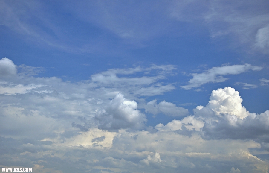 DSC_8420.jpg