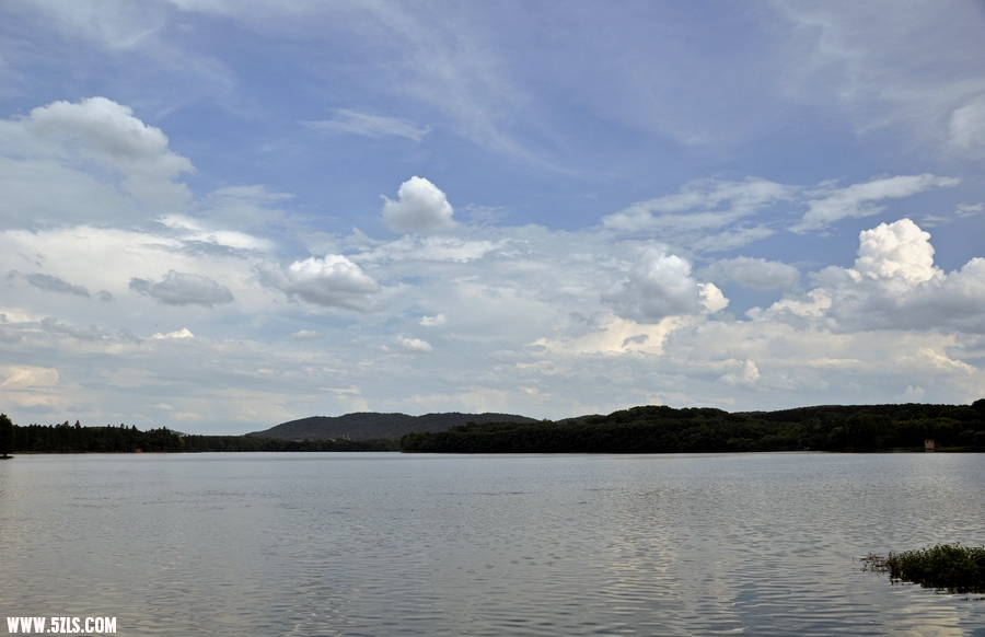 DSC_8423.jpg