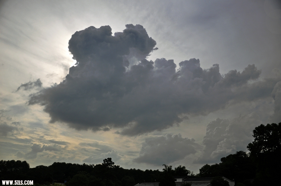 DSC_8587.jpg