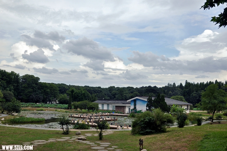 DSC_8460.jpg