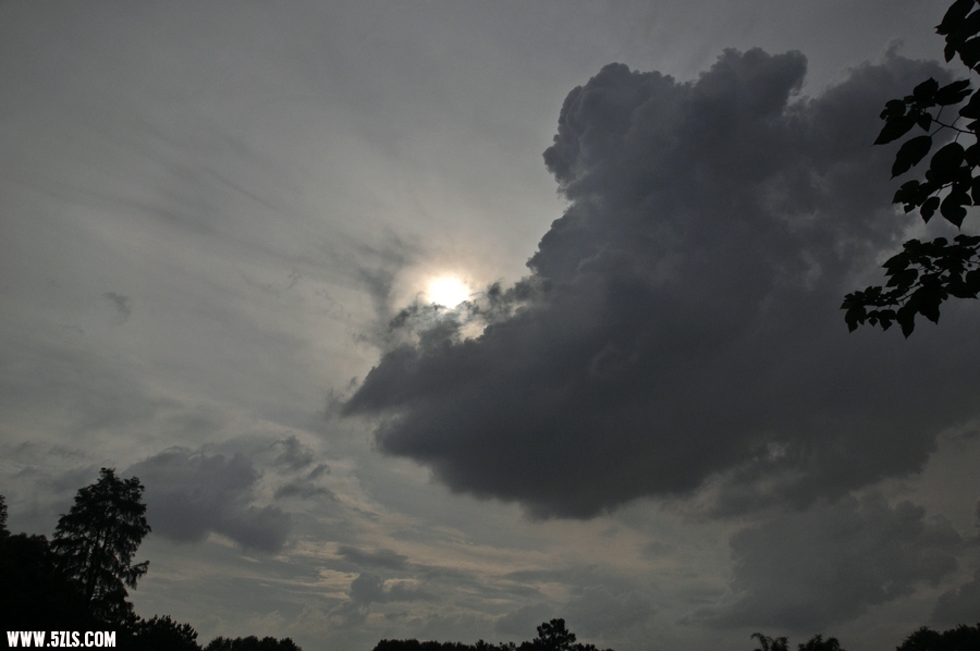 DSC_8594.jpg