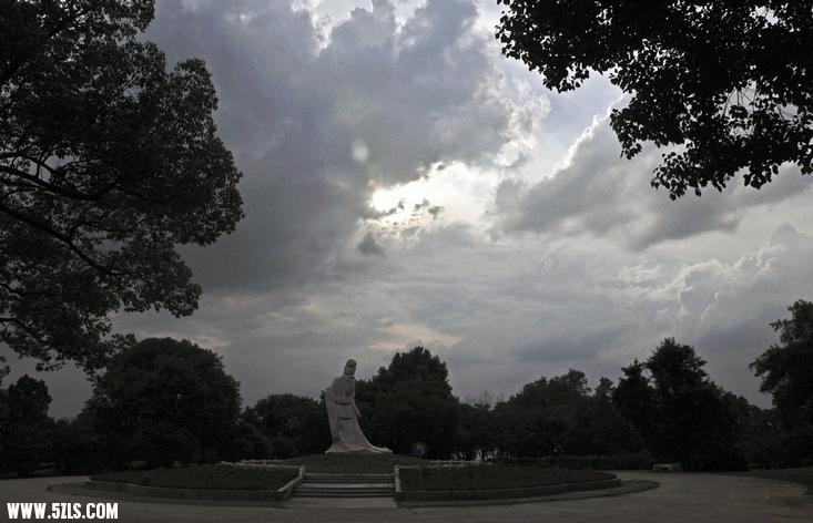 DSC_8645.jpg