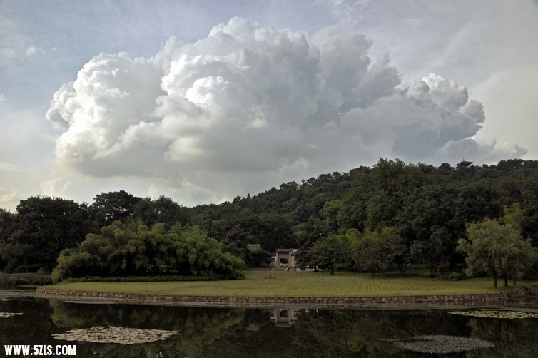 DSC_8636.jpg