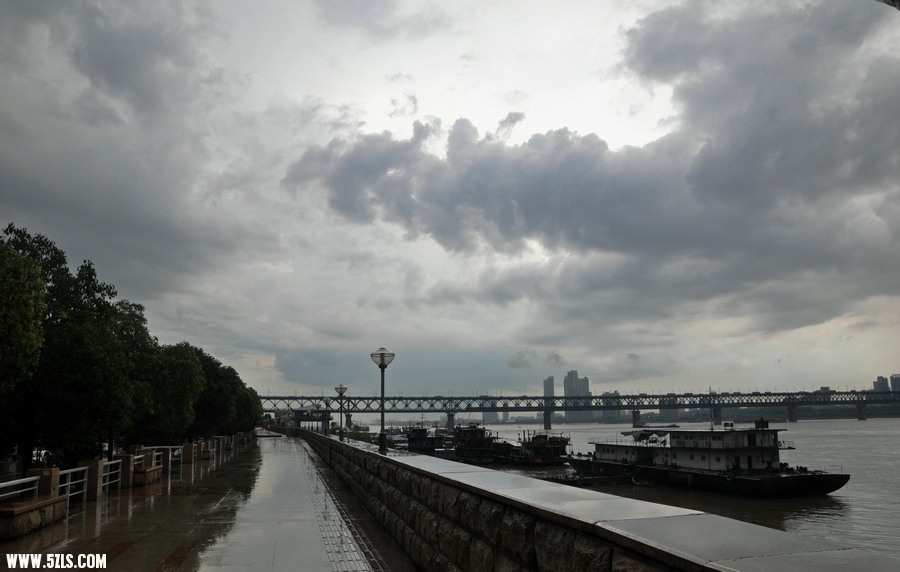 DSC_8666.jpg