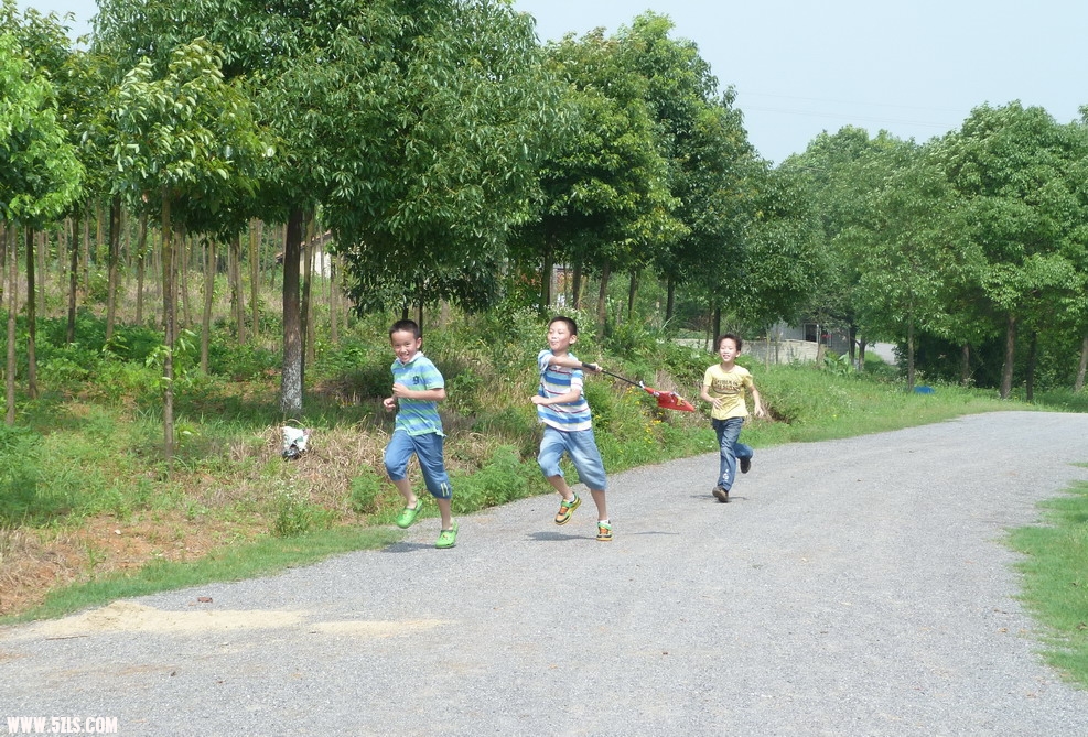 P1010053.jpg