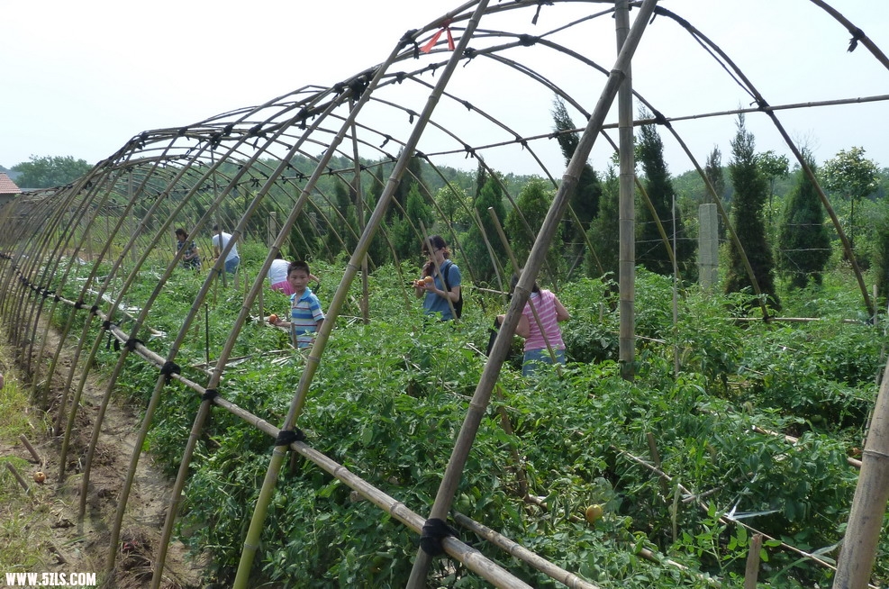 P1010060.jpg