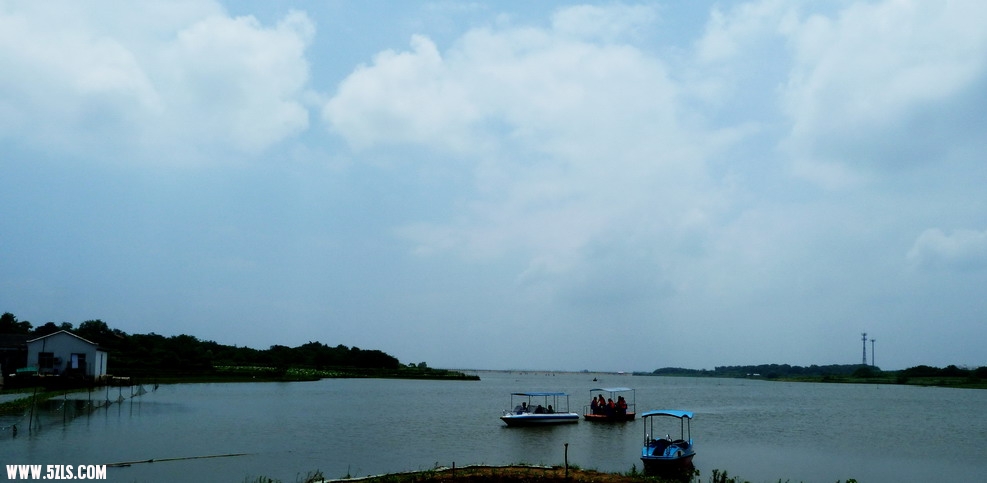 P1010016.jpg
