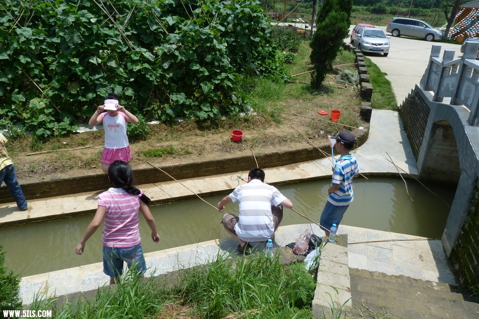 P1010026.JPG