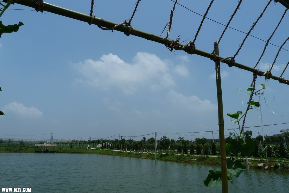 P1010032.JPG