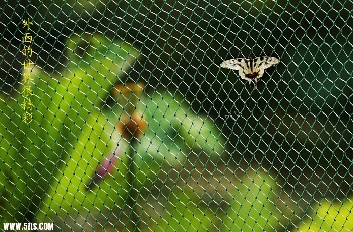 Ƭ 079.jpg
