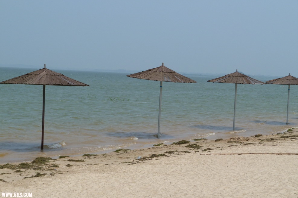 P1010038.JPG