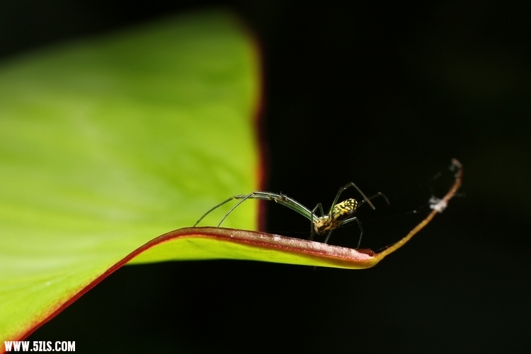 nEO_IMG_IMG_7900.jpg