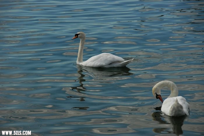 DSC_0152.jpg
