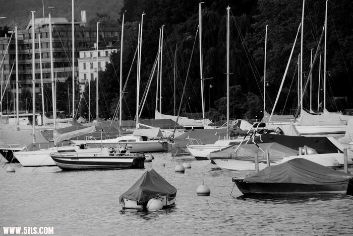 DSC_0163.jpg