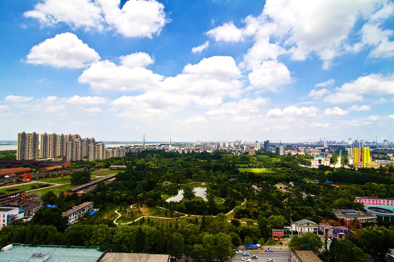 20110701-IMG_1731.jpg