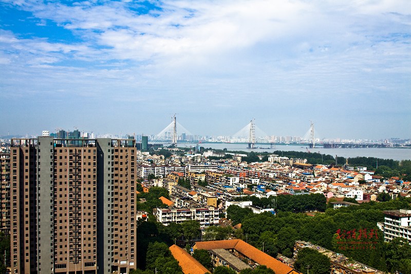 20110701-IMG_1730.jpg