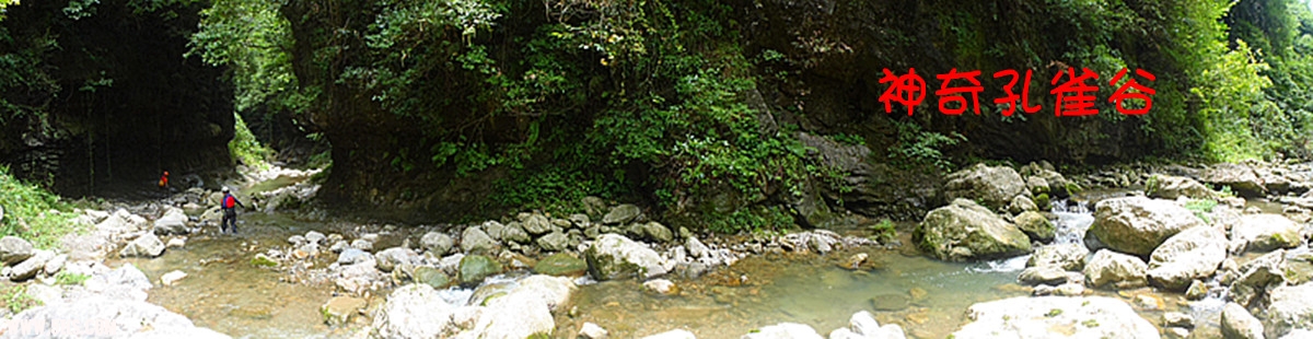 P7020663_.jpg