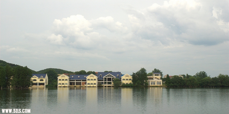 DSC_0050.jpg