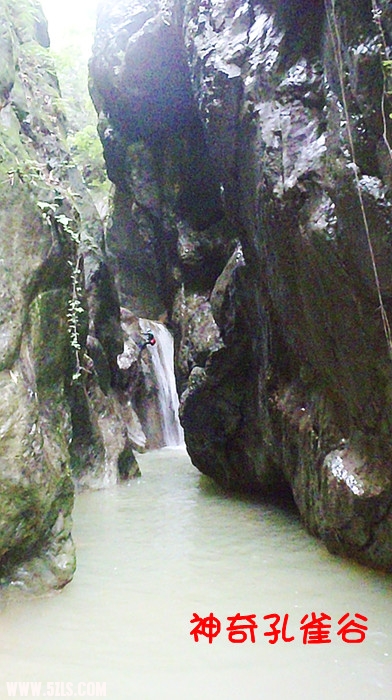 p7020811_.jpg
