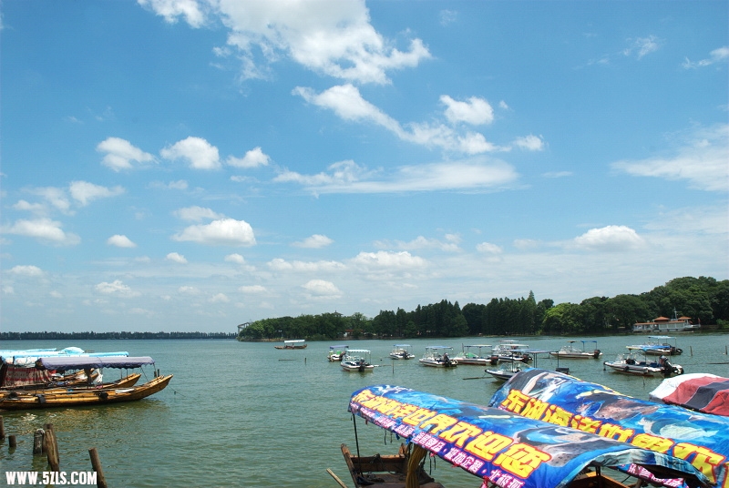 DSC_0138.jpg