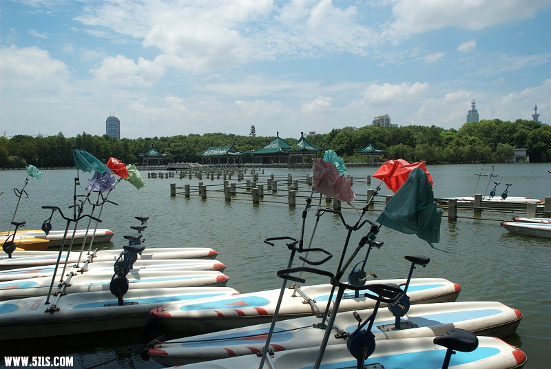 DSC_0114.jpg