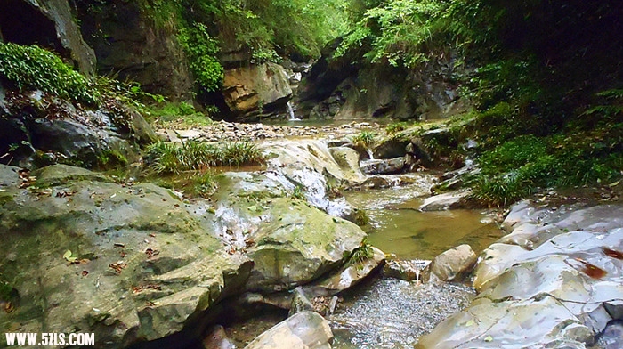 p7020556_.jpg