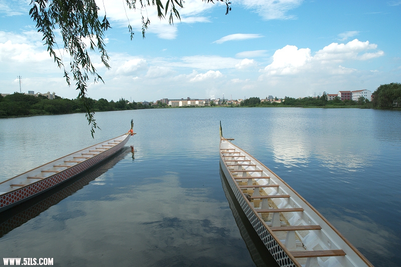 DSC_0168.jpg