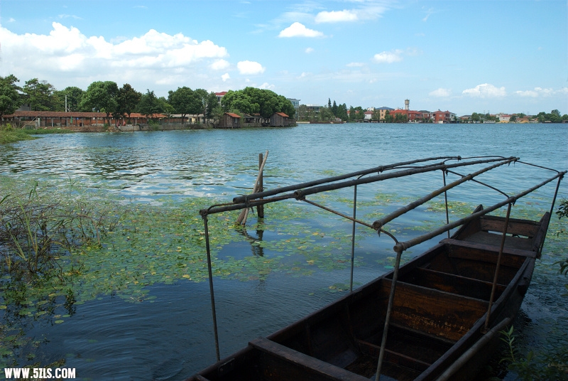 DSC_0161.jpg