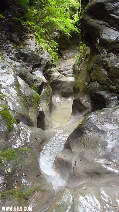 p7020590_.jpg