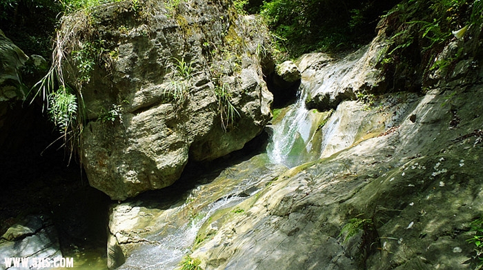 p7020620_.jpg